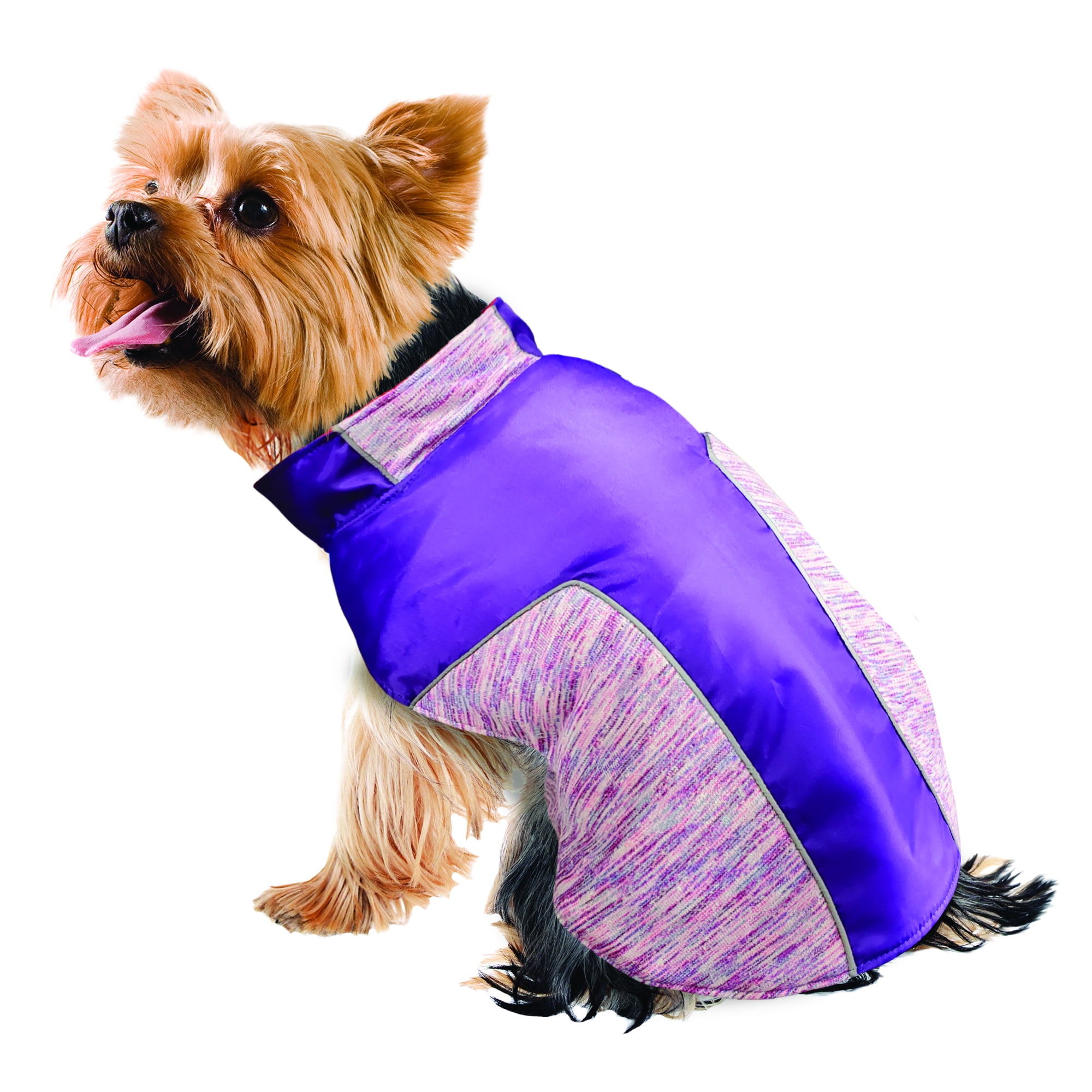 purple dog jacket