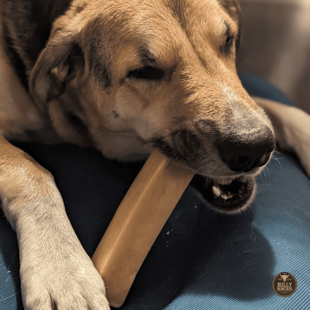 Bully Bunches Mega Authentic Yak Chew (MEGA) - 2 Pack