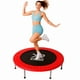 thumbnail image 1 of Trampolín Brincolín Plegable Fitness 40 Pulgadas ( 101.6 cm ) Aerobico X rush Bounce One, 1 of 7