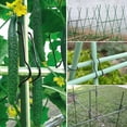 thumbnail image 2 of Fankenuo Plant Trellis Connecting Buckles Garden Plant Cage Connectors Trellis Structure 20mm, 2 of 9