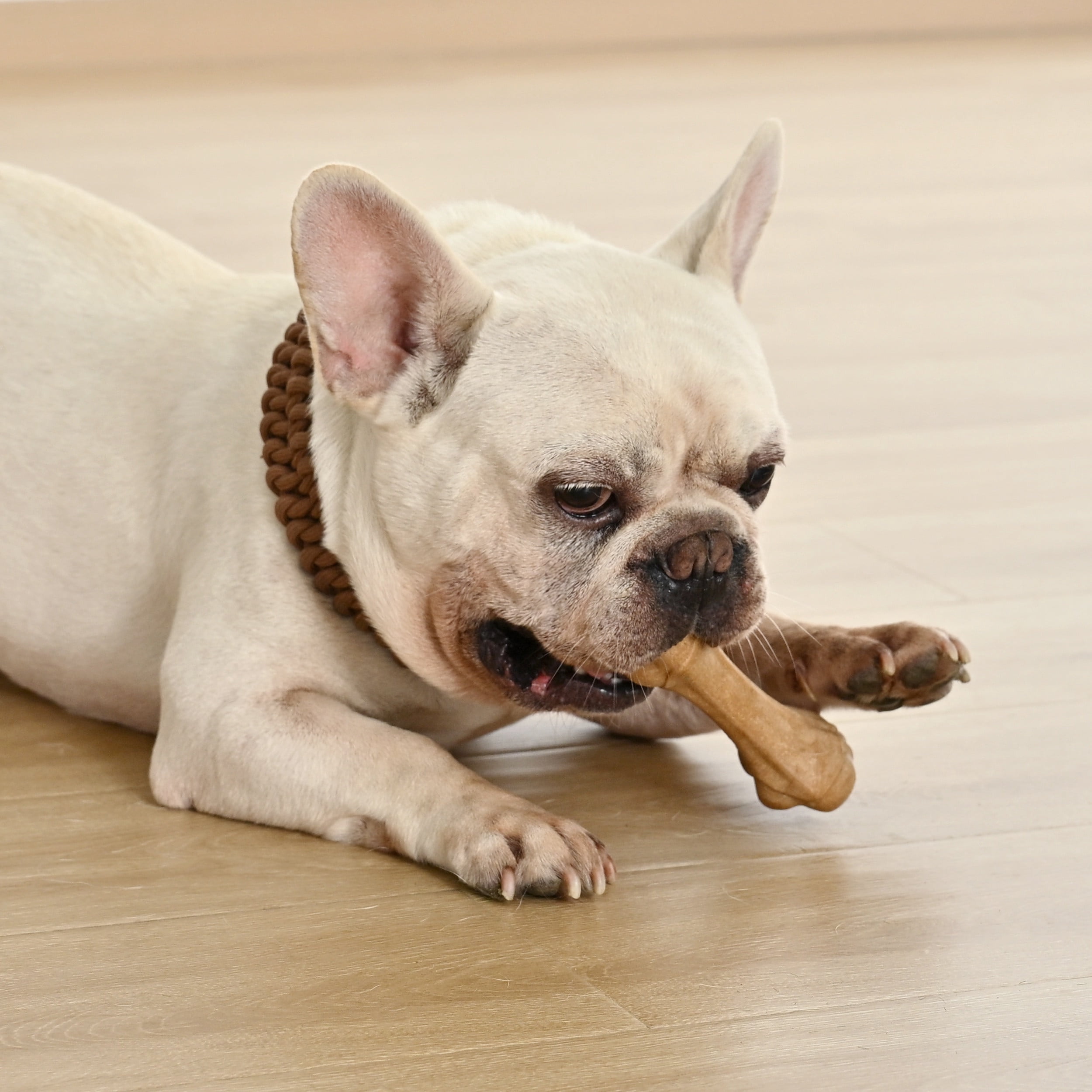 Max & Marlow Durable Dog Chew Toys Set, PP Wood Powder Toys for Aggressive Puppy Chewers, 3 Pack