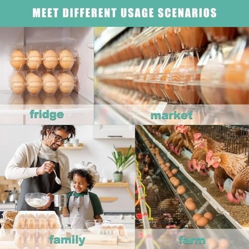 100 Packs Egg Cartons Cheap Bulk，Plastic for 12 Eggs, Clear Egg Cartons 3 * 4 Grids，Perfect for Refrigerator Chicken Farm Markets Commercial Business Market Display