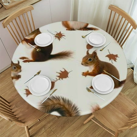 

SHERONV Cute Squirrel Round Tablecloth - Stain-Resistant Polyester Washable 38 -42