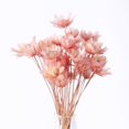 thumbnail image 3 of Bobasndm Tiny Flower Bowl Exquisite  Miniature Flower Vase Ornaments Decoration Delicate for Home Decor, 3 of 7