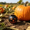 thumbnail image 7 of 6PC Halloween Pumpkin Buckets Candy Basket, Black Candy Bucket for Collecting Treats and Festive Decor, Pumpkin Holder for Halloween Parties,2.8x2.2 Inch, 7 of 7