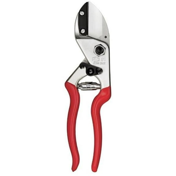 Pruning Shear