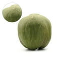 thumbnail image 3 of Fruit Ornament Artificial Coconuts Fake Coconuts Farmhouse Decorations Simulated Coconuts Artificial Fruit Props, 3 of 6