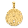 thumbnail image 3 of 14K Yellow Gold Textured Polished Finish Starfish on Sea Sand Dollar Design Charm Pendant, 3 of 4
