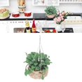 thumbnail image 4 of Miniature Bonsai, Mini Potted Plant Small Portable Vivid Lifelike  For Gift For Children For Toys For Decoration, 4 of 8