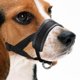 thumbnail image 2 of Mascarilla Ajustable jinwen para entrenamiento XXL, 2 of 8