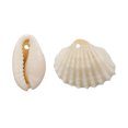 thumbnail image 4 of Ounissouiy 50 piezas de colgantes de moda, accesorios de joyería versátiles para manualidades DIY, fabricación de joyas Diy, accesorios, Artesanía caparazón 1, 4 of 6