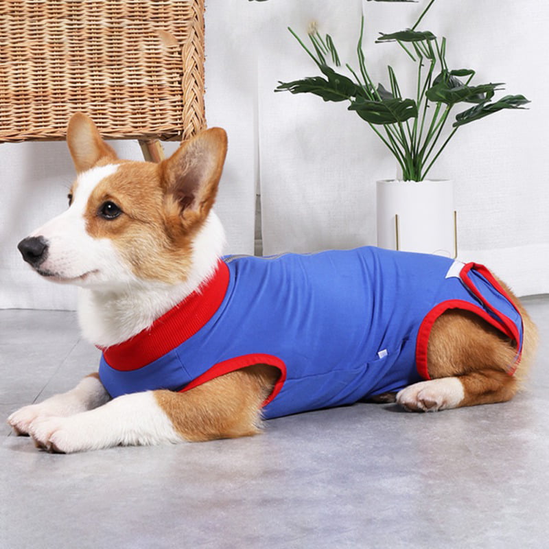 Substitute E-Collar & Cone Prevent Licking Dog Onesies Snugly Suit Kuoser Recovery Suit for Dogs Cats After Surgery Professional Pet Recovery Shirt for Male Female Dog Abdominal Wounds Bandages 