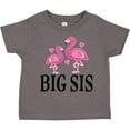 thumbnail image 3 of Inktastic Sister Announcement Flamingo Sister Girls Toddler T-Shirt, 3 of 5