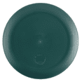 thumbnail image 4 of Mainstays 10.5 inch Round Plastic Etched Halloween Haunted House Plate, Teal, 4 of 7
