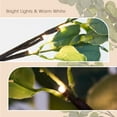 thumbnail image 4 of Lighted Eucalyptus Tree 6 ft, Eucalyptus Artificial Tree with Warm White for Thanksgiving Easter Christmas Festival Home Decor, 4 of 8