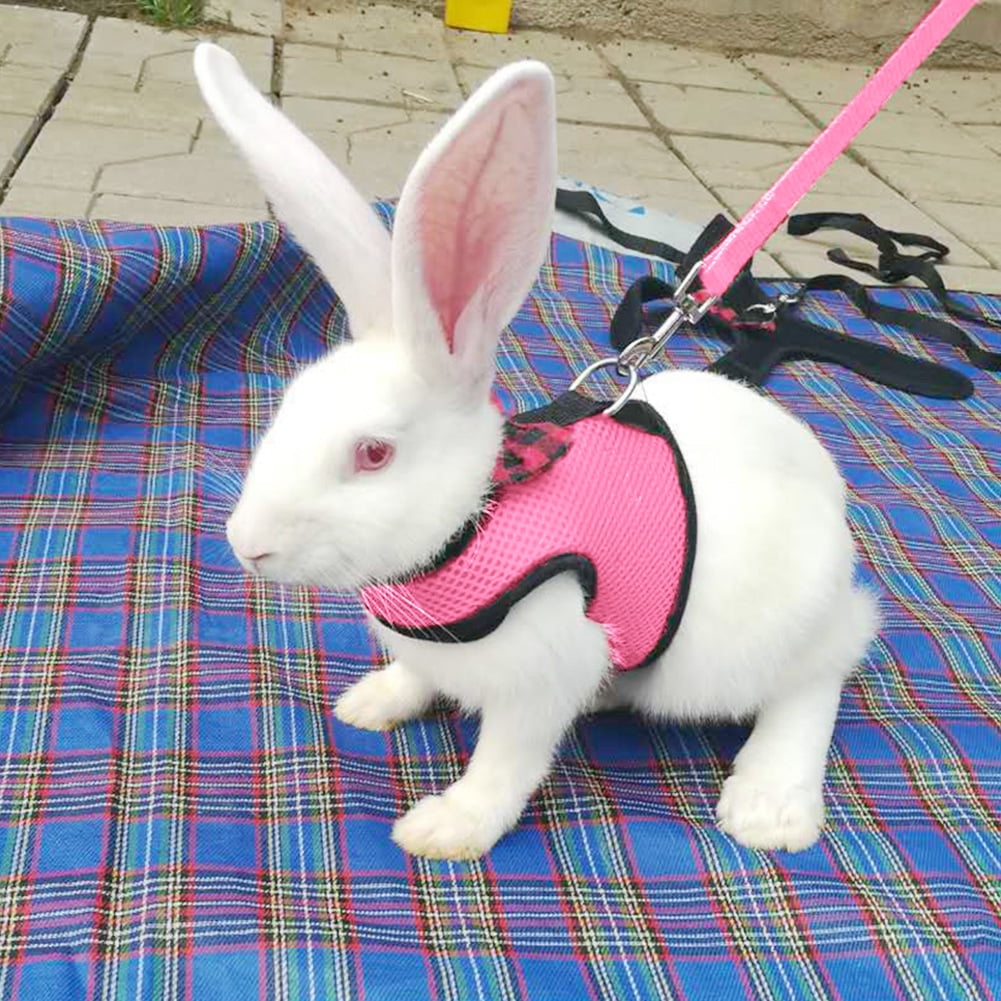 2 Pieces Bunny Rabbit Harness with Leash Cute Adjustable Buckle Breathable Mesh Vest for Kitten Puppy Small Pets Walking Blue, Pink,L