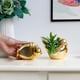 thumbnail image 4 of Macetas Bonsai de Decoración de, 4 of 9