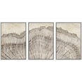 thumbnail image 4 of PixonSign Framed Wall Art Set Retro Close Up Oak Wood Tree Rings Nature Wilderness Modern Art Decorative Farmhouse Zen Artwork for Living Room, Bedroom, Office - 16"x24"x3 White, 4 of 5