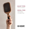 thumbnail image 6 of Kent PF18 Medium Cushion Paddle Brush - Detangling for Fine, Long, Thick and Curly Hair, Scalp Massager and Growth Stimulator, Wet or Dry Use. Made in England, 6 of 6