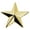 Gold, variant on 1-Inch Single Star Pin with Clutch Back, Gold – Pair