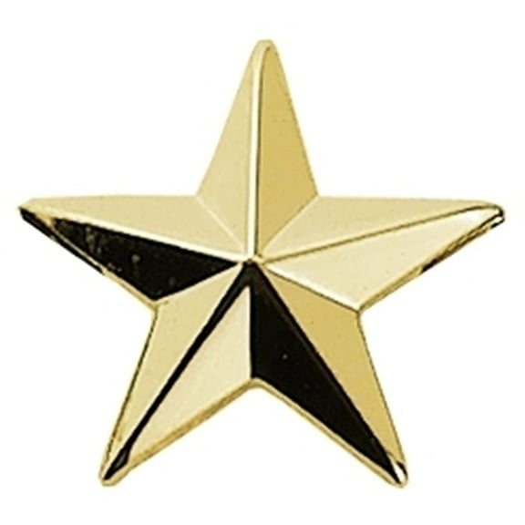 Hero's Pride 1-Inch Single Star Pin with Clutch Back, Gold – Pair