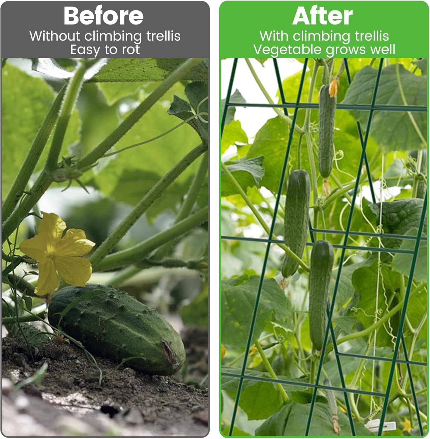 Foldable Cucumber Trellis - 2 Pack, A-Frame Garden Trellis 46" L x 18" W, Steel Climbing Plants Support Raised Bed Trellis with Twist Ties & Plant Bags for Climbing Plants Outdoor