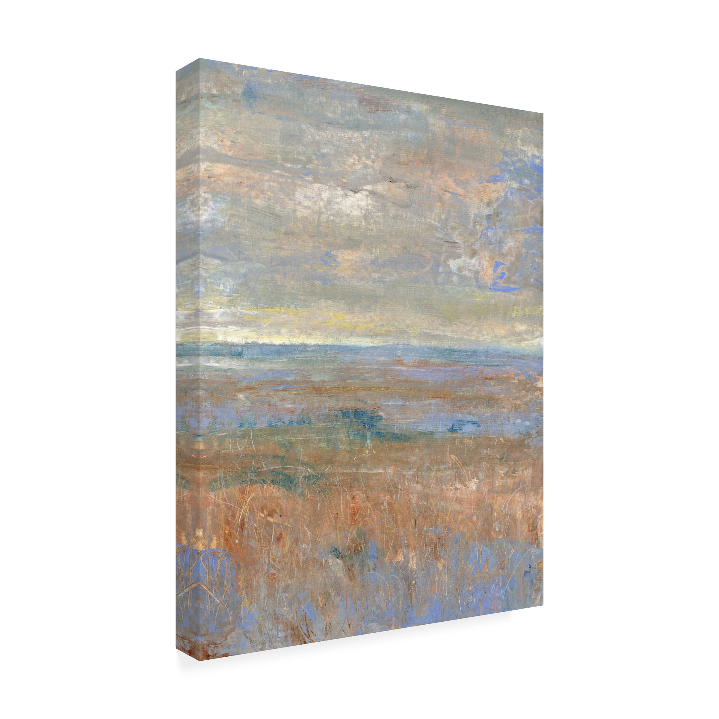 Tim OToole 'Evening Marsh II' Canvas Art