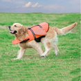 thumbnail image 2 of Chaleco salvavidas para perros Chaleco salvavidas reflectante para perros de tamaño ajustable para nadar, surfear, cazar, navegar (m) Sincero Electrónica, 2 of 5