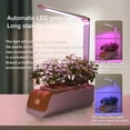 Gracefulvara Hydroponics Growing System Indoor Garden Kit with Grow