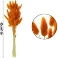 thumbnail image 2 of Tutuviw 16" Natural Bunny Tails Dried Flowers, 60 Pcs Dried Lagurus Ovatus, Dried Grass for Flower Arrangements, Wedding Centerpieces Home Party, Fall Decorations (Orange), 2 of 7