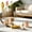 style D, variant on Kitty Set Automatic Cats Toy Silvervine Chew Stick, Cat Interactive Toys For Indoor Cats Exercise Play, Cat Laser for Kitten Boredom Solo Fun Chase
