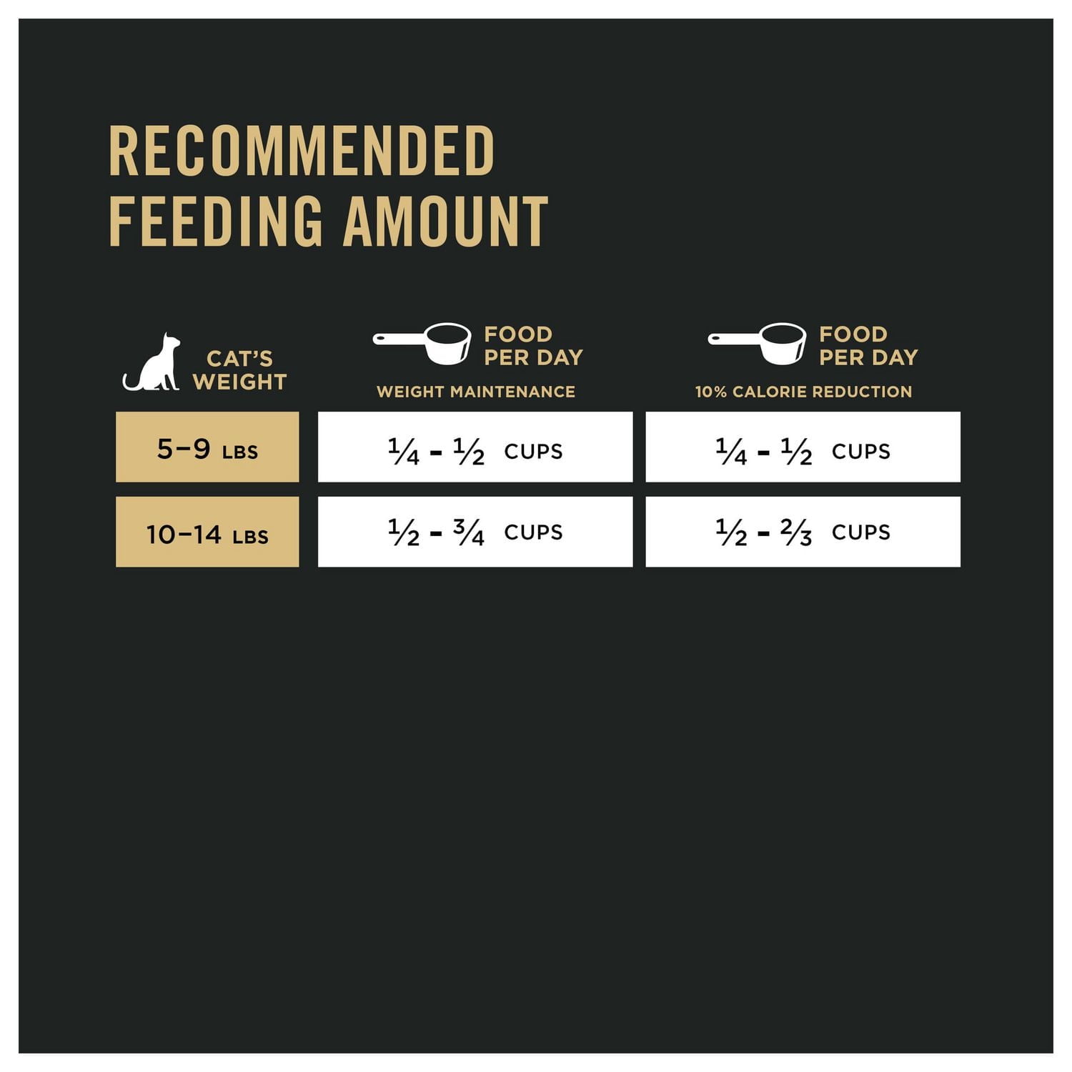 How Much Food Should I Feed My Cat Each Day: Expert Feeding Guide