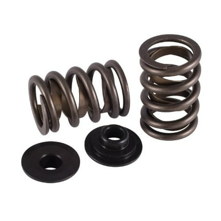 UPC 021174026696 product image for Crane Cams 13308-1 Valve Springs and Retainers Kit for Chevrolet V8, (Set of 16) | upcitemdb.com