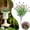 Red2, variant on 1 Pack Artificial Boxwood Stems, 14'' Faux Greenery Stems Colorful Fake Flowers Branches, Outdoors UV Resistant Plastic Fake Plants, Shrubs for Vase Planters Garden Office Farmhouse Indoor Decor, A