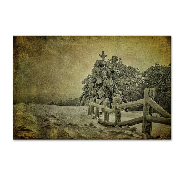 Trademark Fine Art "Oh Christmas Tree" Canvas Art by Lois Bryan