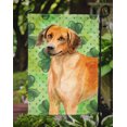 thumbnail image 3 of Carolines Treasures BB9850GF Rhodesian Ridgeback St.Patricks Flag - Garden Size, 3 of 3