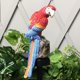 thumbnail image 2 of Lámpara solar de loro - Iluminación solar para jardín, terraza, césped, patio, entrada - Resina sólida, lámparas de pájaros de bajo consumo - Decoraciones de animales con LED blancos, 2 of 4