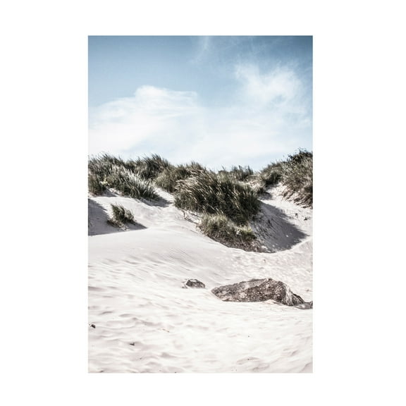 Canvas Wall Art - Incado 'Coastal IV' Wall Art for Living Room, Bedroom, or Office Décor by Trademark Fine Art - 12 x 19 Inches