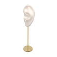 thumbnail image 1 of STARTIST Durable Earring Display Holder Human Ear Model Stud Holder Soft Silicone Wedding Left Ear White, 1 of 9