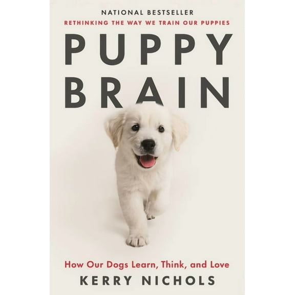 Puppy Brain : How Our Dogs Learn, Think, and Love (Paperback)