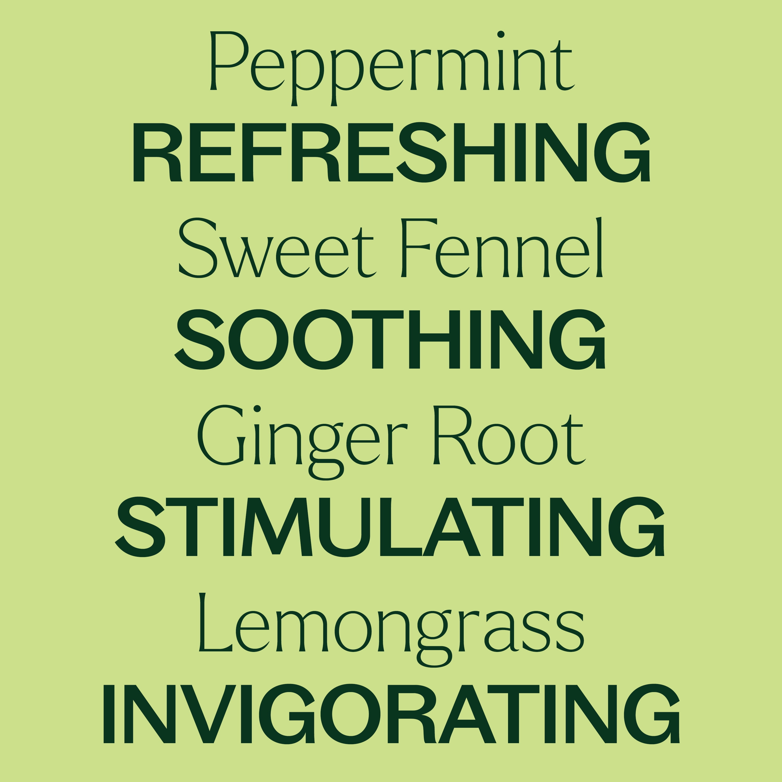 Plant Therapy Gut Aid Essential Oil Blend 30 mL (1 oz) 100% Pure, Undiluted, Natural Aromatherapy for Upset Stomach Relief