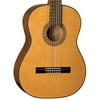 Washburn C40 Classical Guitar