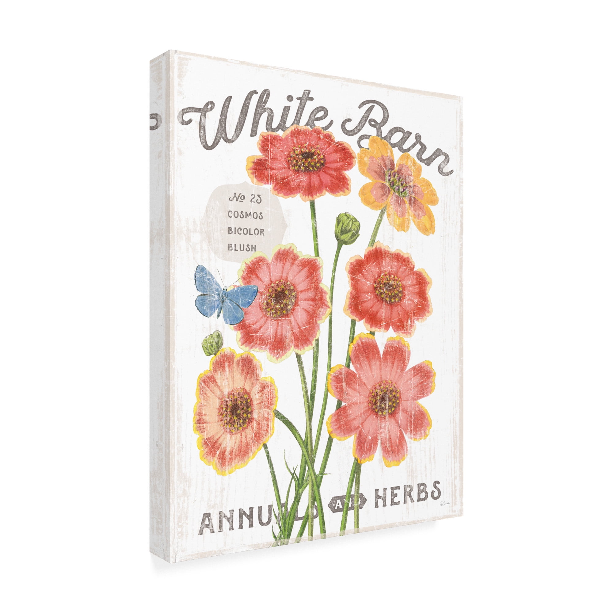 Trademark Fine Art 'White Barn Flowers III' Canvas Art by Sue Schlabach