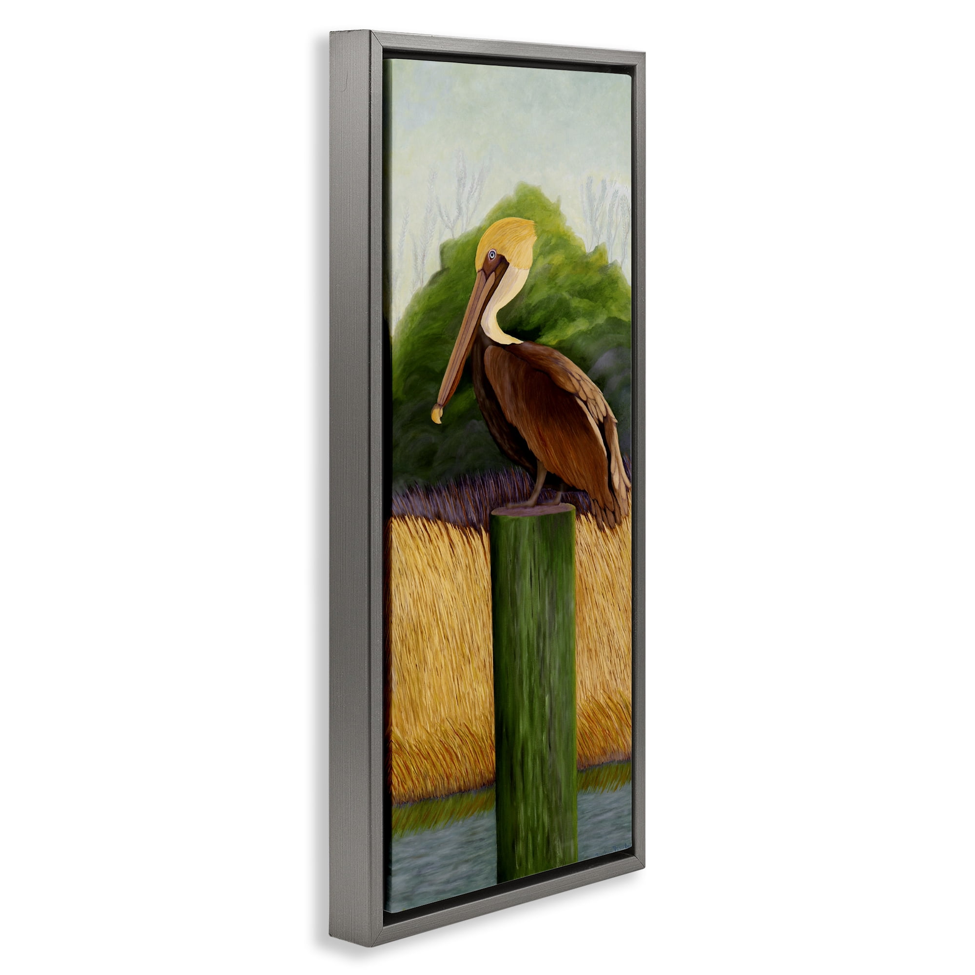 Stupell Industries Perched Blue Eyed Pelican Gray Framed Floater Canvas Wall Art, design by Barbara Fallenbaum