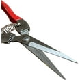 thumbnail image 4 of GARDEN GURU Straight Stainless Steel Pruner Pruning Shears Clippers Snips Sharp Bonsai Cutter Plant Trimming Scissor Straight Blade Garden Scissors Tool -Great for Roses Flowers Herbs Fruits, 4 of 5