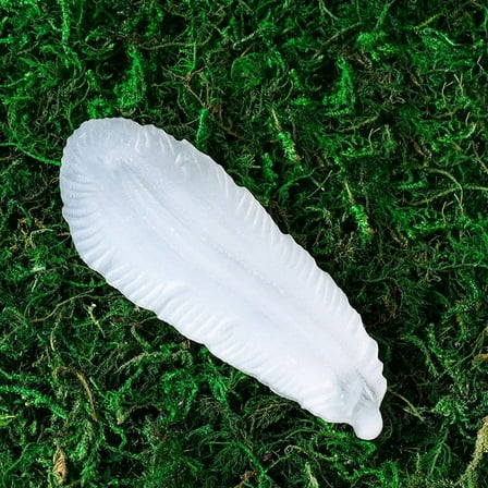 2pcs Selenite Charging Bowl for Cleansing Recharging & Reiki Gemstones Home Decoration Feather 80~90x30mm