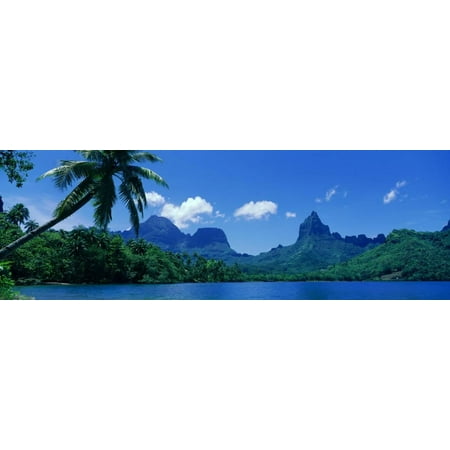 Tahiti Rocks - Lush Foliage and Rock Formations, Moorea Island, Tahiti Print Wall Art
