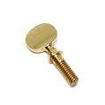 thumbnail image 1 of Selmer Paris Saxophone Neck Receiver Tightening Screw - Lacquer, 1 of 1