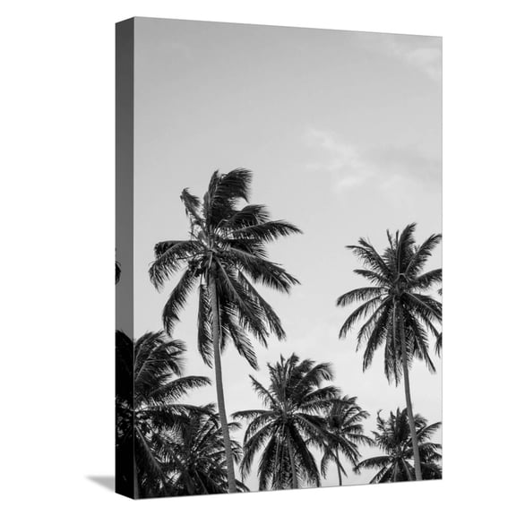 Art.com Palms in Grey Stretched Canvas Print Wall Art by Design Fabrikken, 12" x 16"