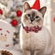 thumbnail image 1 of Los Collares de Bolas con Lazos para Mascotas Son Adecuados para Decoraciones Navideñas y de Invierno para Perros Pequeños y Medianos., 1 of 6
